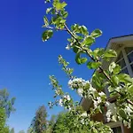 Marjoniemi Leirintäalueet