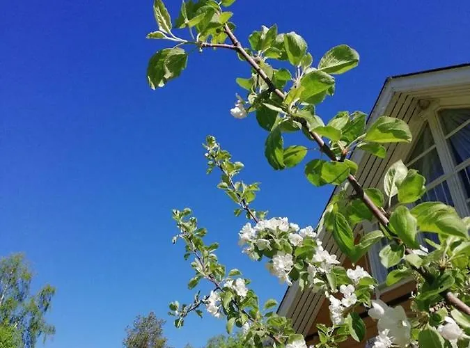 Marjoniemi Campeggio